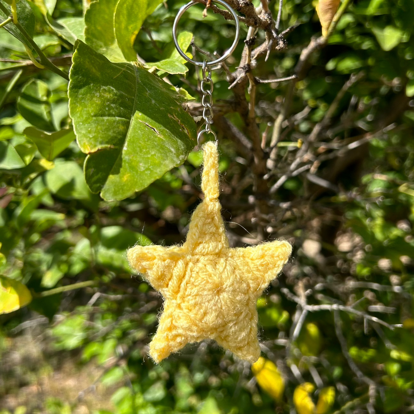 Croceht star charm